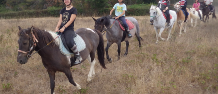 cheval